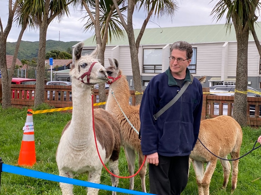 Stephen-Mulholland-and-Ziggy-the-llama.jpg