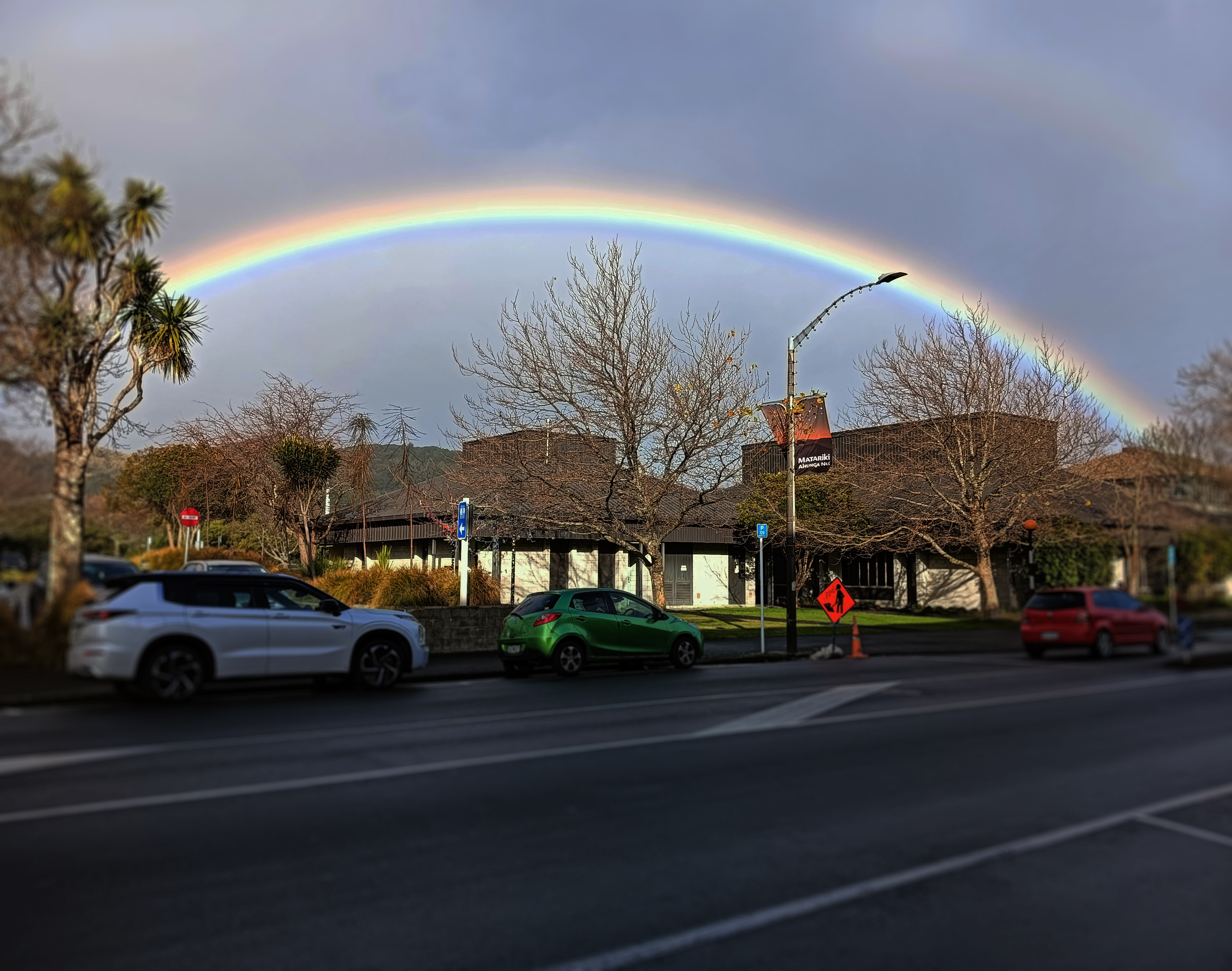 rainbow library 1.jpg